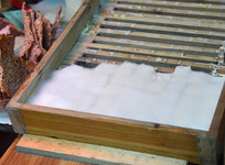 ��������İ�ë��˿