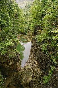 ���������ž����ӹ���̶