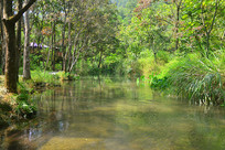 ��С�߿��ּ��峺��С��