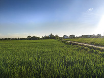 ��������ﵾͼ