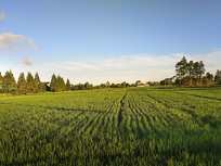 ����Ϧ������ﵾ��