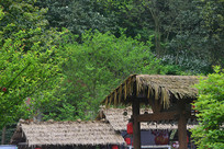 ���ݵ���ɽ-�¹Ž���é��