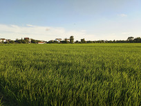 ��������ﵾͼ