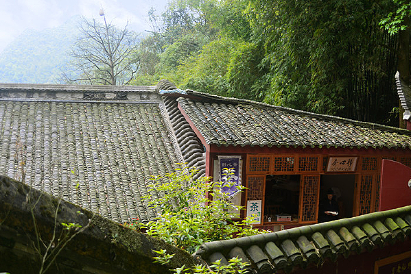 �Ĵ����ݵ���ɽ���̹�����ʦ�� 