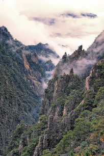 ������ɽ