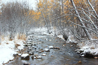 ���˰��������ѩ