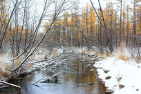 ���˰����＾ɭ�ֺ���ѩ��