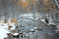 �＾ɭ�ֺ�ѩ����ڡ