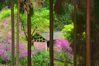 ���쿪���ʻ������ũ��