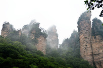 �����żҽ����ɭ�ֹ�԰