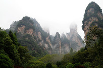 �����żҽ�ɭ�ֹ�԰