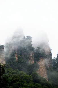 �����żҽ�����Դ