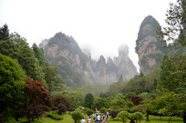 �żҽ�����Դ�羰��