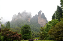 �żҽ�����Դ����