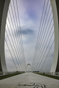 �Ͼ��۲�����