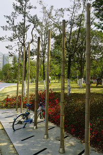 ������Ȼ������г�ͣ���� 