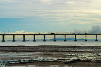 �������������ɭʪ�ع�԰�ߴ��� 