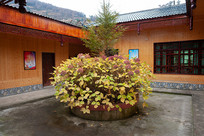 �촻��촻�������������ھ�