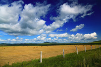 ���ױ��������＾ũ��