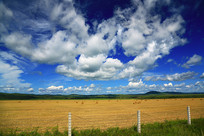 ���ױ��������＾��Ұ���