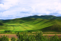 ���ױ�������ɽ��ũ��