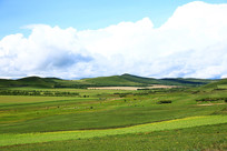 ���ױ�������ԭҰ�羰