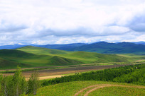 ���ױ���ɽ����Ұ