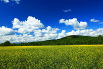 ���ױ�����԰���