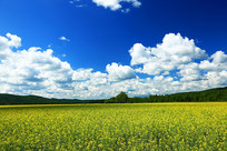 ũ���Ͳ˻���