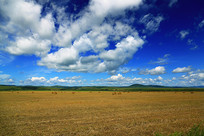 �＾��԰���