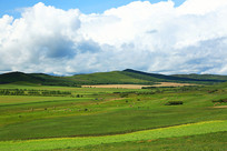 �＾��԰���