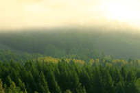 ɽ�ֳ����羰