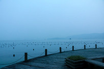 ��������������Ȫ��ҹ��