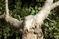 ������д