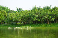 ����ʪ��