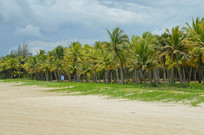 ���Ϻ�̲ɳ̲����Ҭ��ͼ