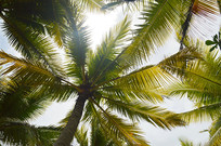 ����Ҭ��