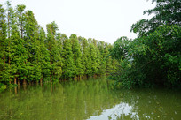 ����ɼ����