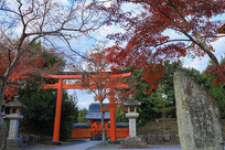 �ձ������＾����