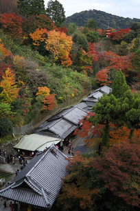 �ձ�����ɽ����ˮ�� 