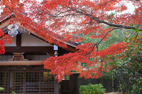 �ձ������������＾