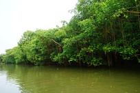 ˮ������