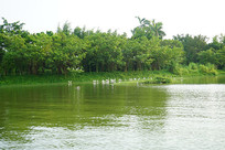 С������-��Ⱥ����