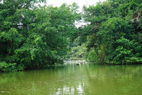 С�����ô��� 