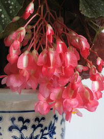 Ư��������