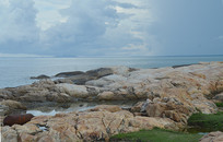 ���Ϻ���ͼƬ