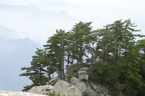  ��ɽɽ��������ͼƬ