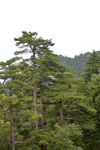  ��ɽɽ���ɽ��������ͼƬ