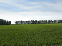 �ֳ�����