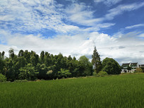 ��������ׯ�ڵ�